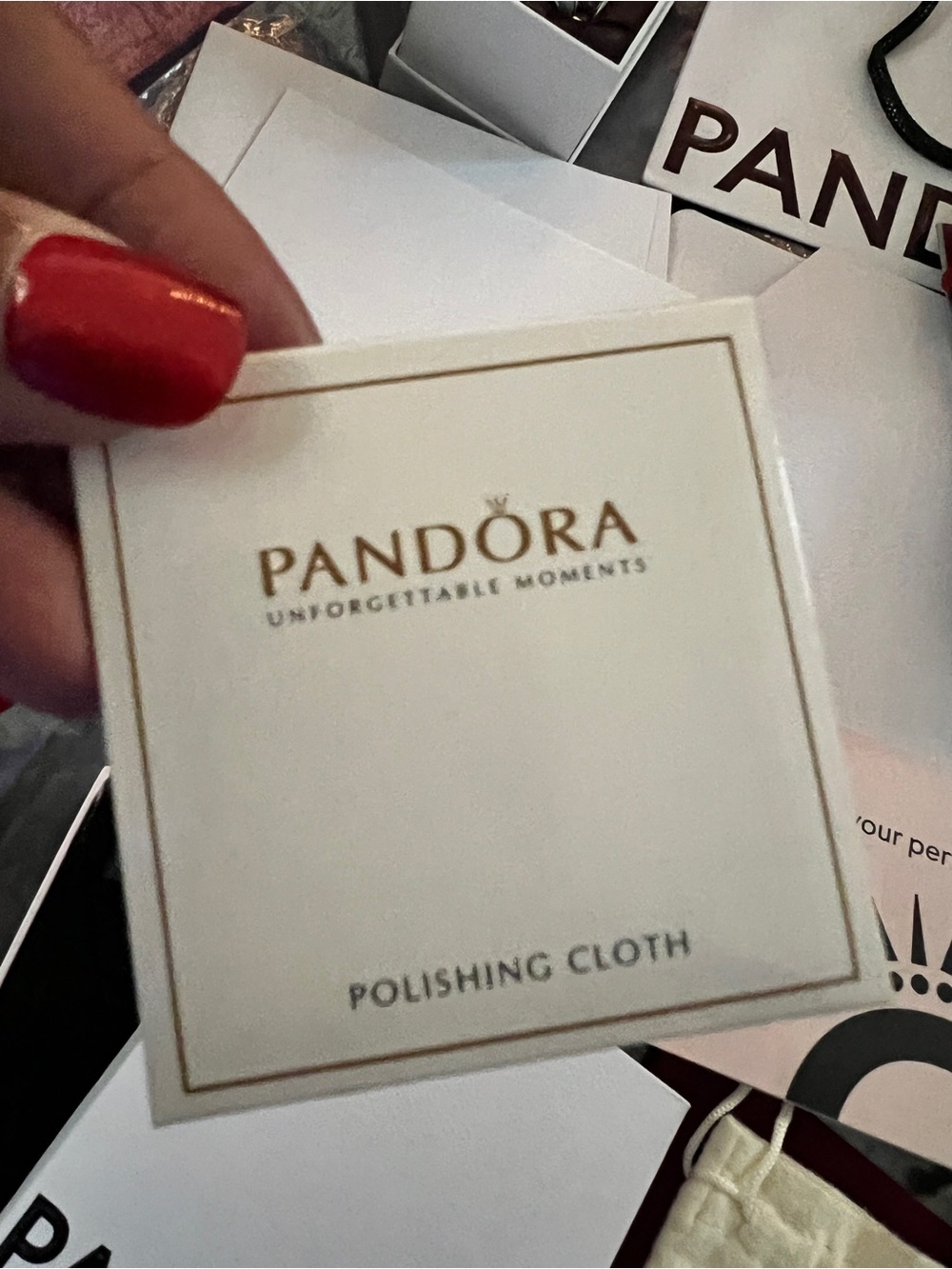 🎀 Pandora Packing and Supplies Bonus: Ornament 🎀 - Picture 5 of 11